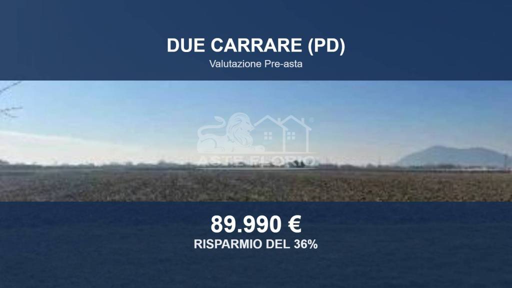 terreno edificabile in vendita a Due Carrare in zona Chiodare