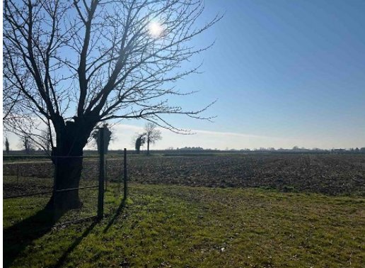 terreno agricolo in vendita a Due Carrare in zona Chiodare
