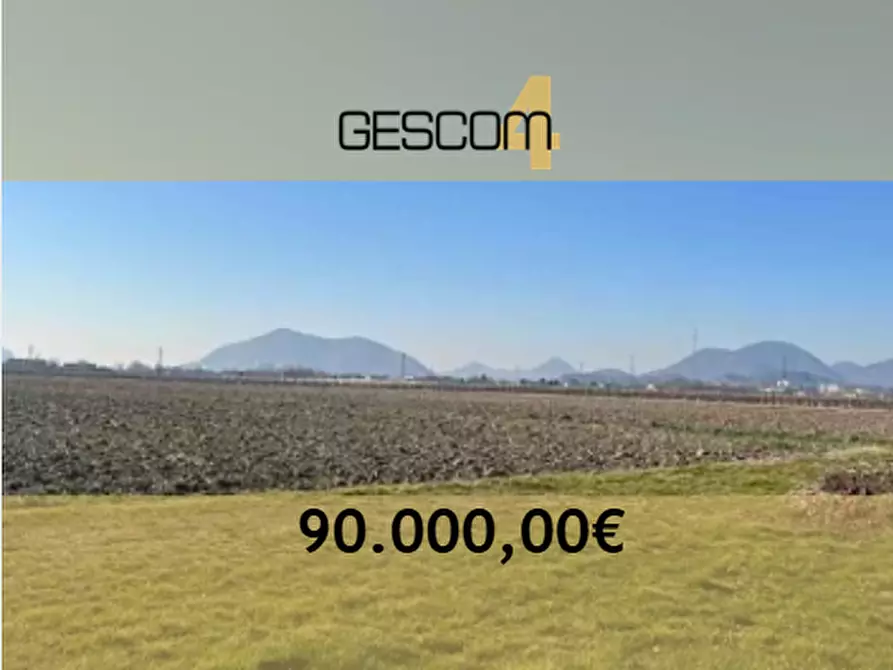 terreno agricolo in vendita a Due Carrare in zona Chiodare