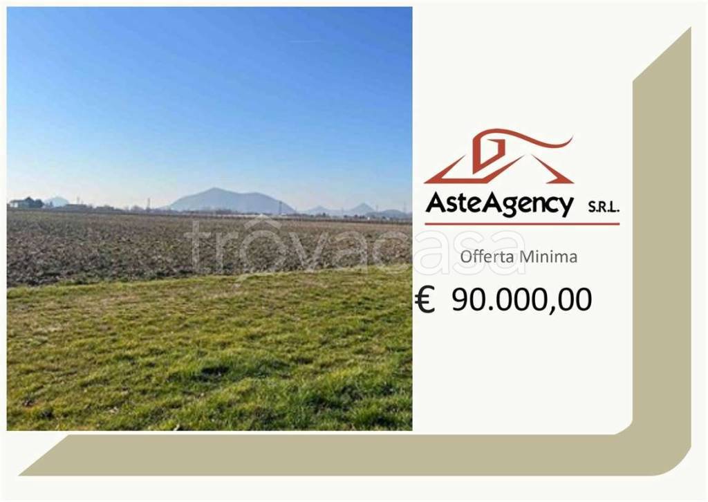 terreno agricolo in vendita a Due Carrare in zona Chiodare