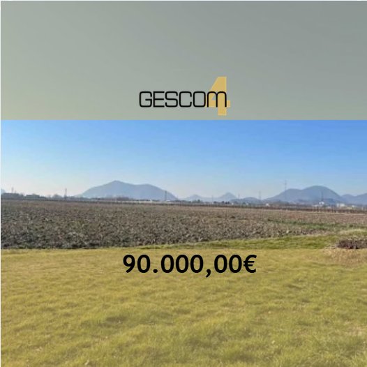 terreno agricolo in vendita a Due Carrare in zona Chiodare