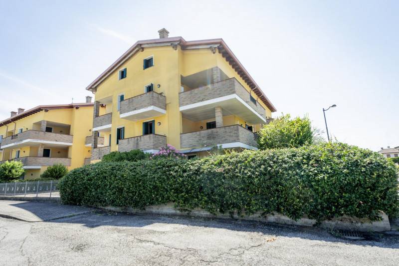 appartamento in vendita a Due Carrare in zona Carrara San Giorgio