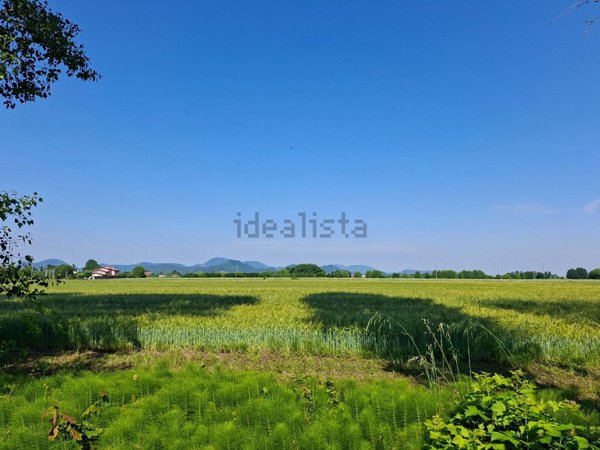 immagine annuncio 0 di 10