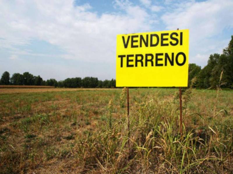 terreno agricolo in vendita a Borgo Veneto