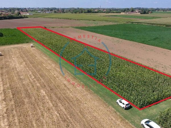 terreno agricolo in vendita a Borgo Veneto in zona Ca' Briani