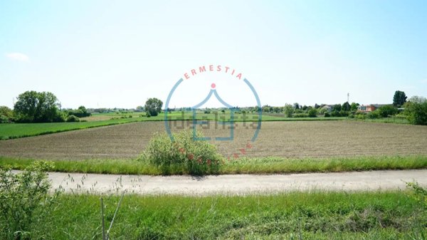 terreno agricolo in vendita a Borgo Veneto in zona Saletto