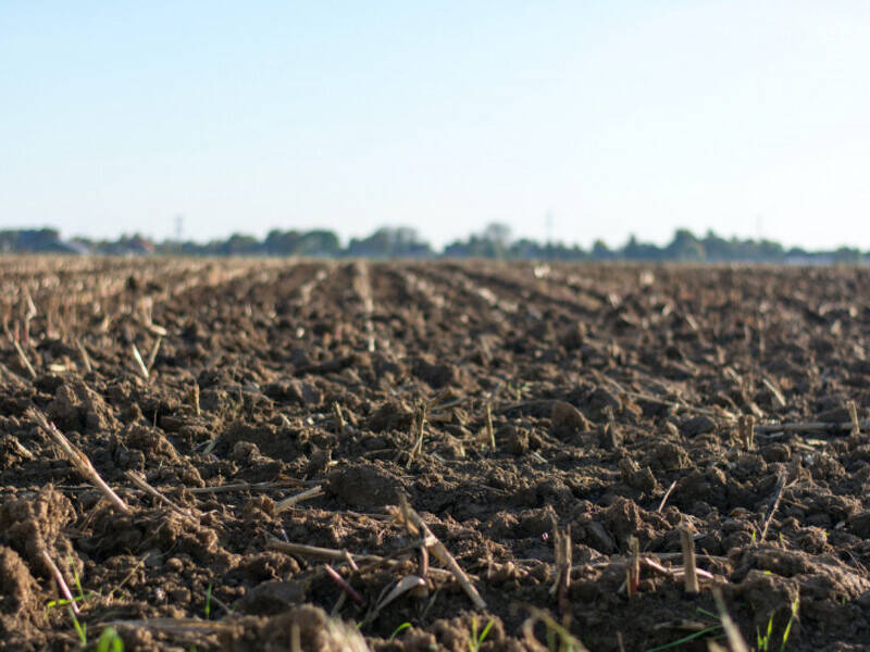 terreno agricolo in vendita a Borgo Veneto