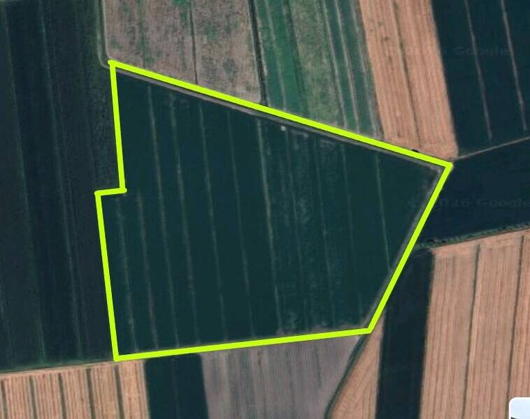 terreno agricolo in vendita a Borgo Veneto in zona Santa Margherita d'Adige