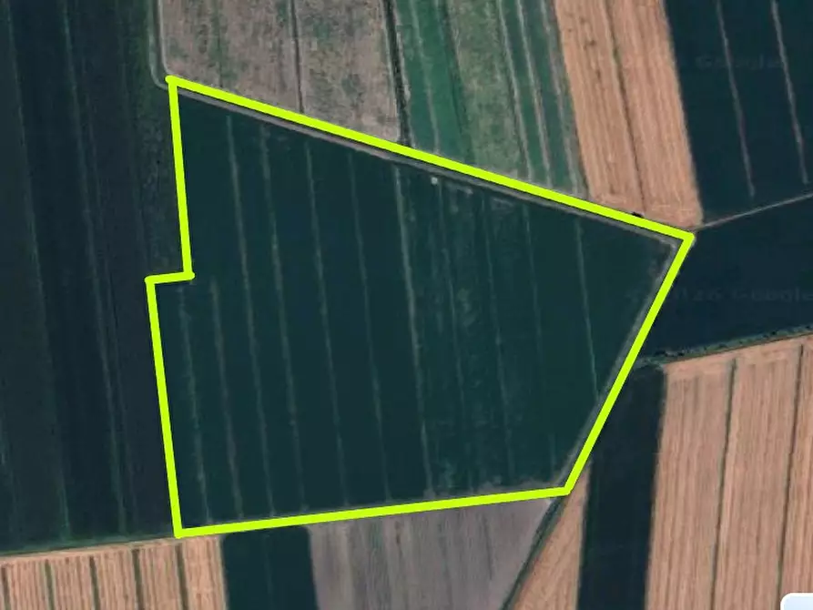 casa indipendente in vendita a Borgo Veneto in zona Luppia/Padana Inferiore