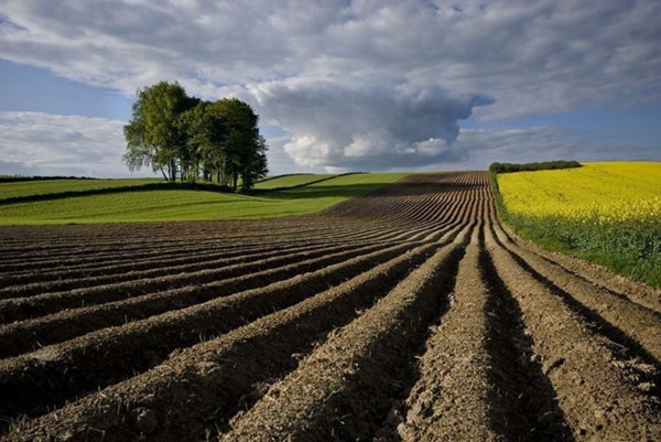 terreno agricolo in vendita a Borgo Veneto in zona Saletto
