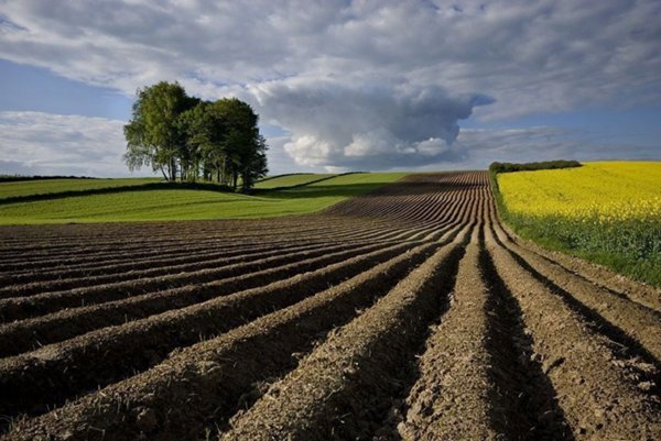 terreno agricolo in vendita a Borgo Veneto in zona Saletto
