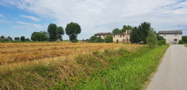 terreno in vendita a Borgo Veneto in zona Saletto