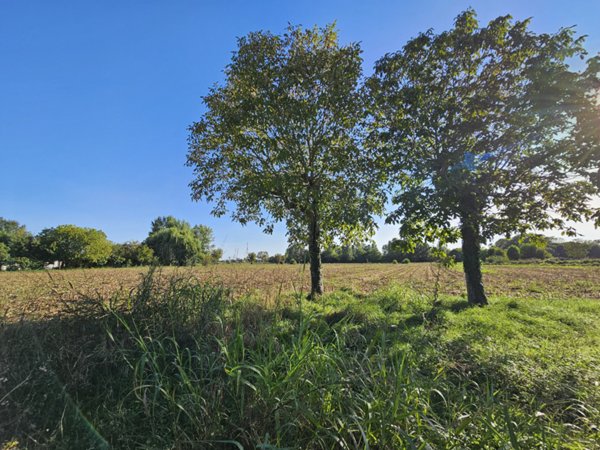 casa indipendente in vendita a Borgo Veneto in zona Saletto