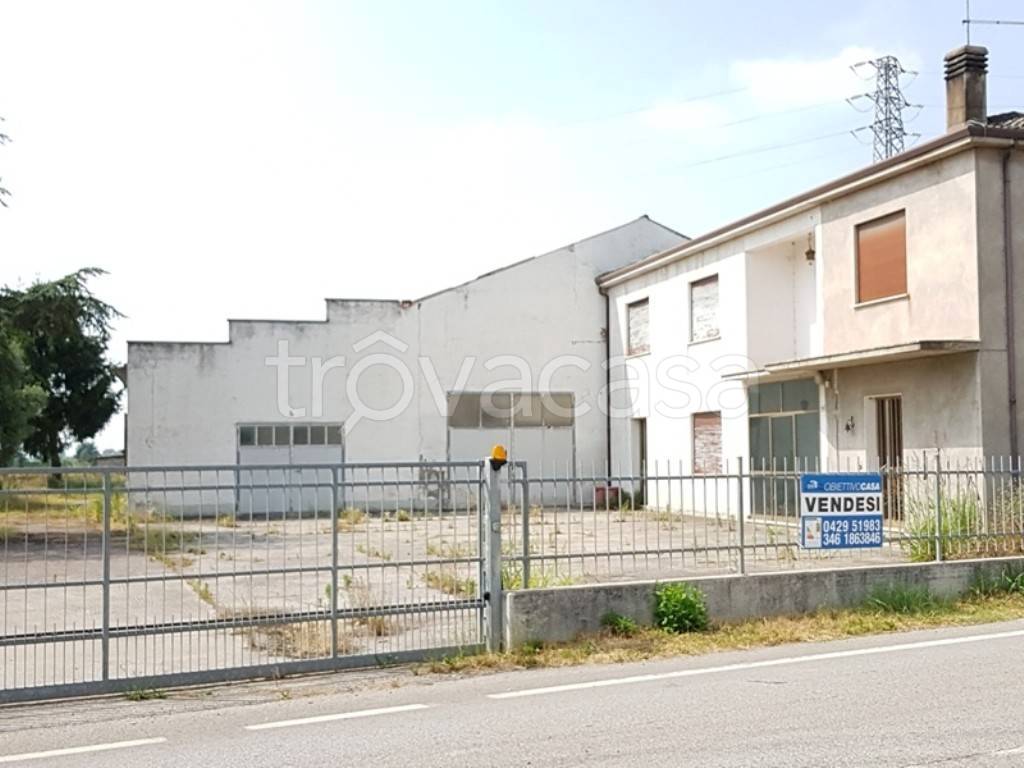 terreno in vendita a Borgo Veneto in zona Saletto