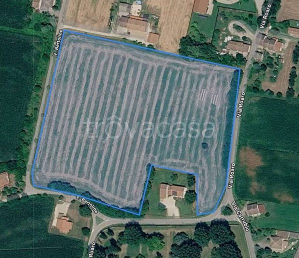 azienda agricola in vendita a Borgo Veneto