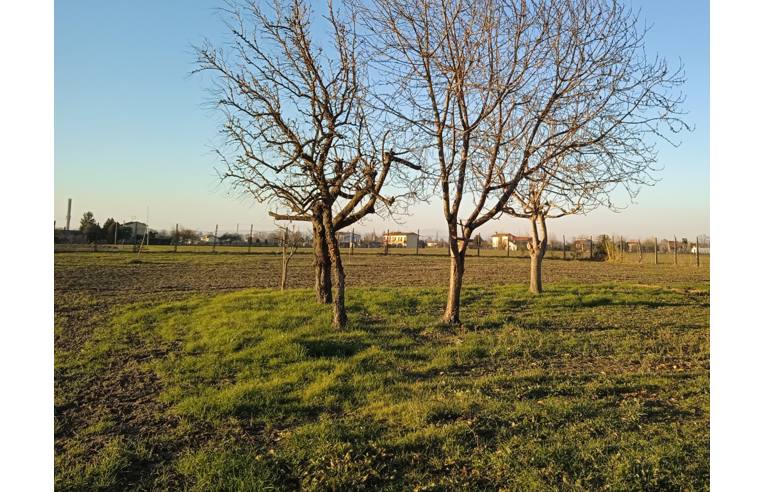 villa in vendita a Santa Caterina d'Este