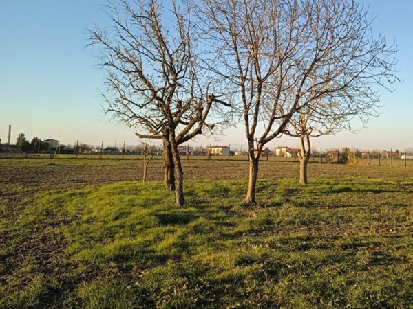terreno edificabile in vendita a Santa Caterina d'Este in zona Zanetti