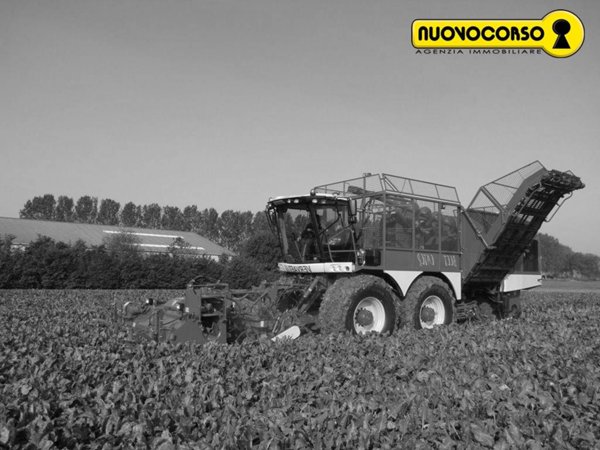 terreno agricolo in vendita ad Adria