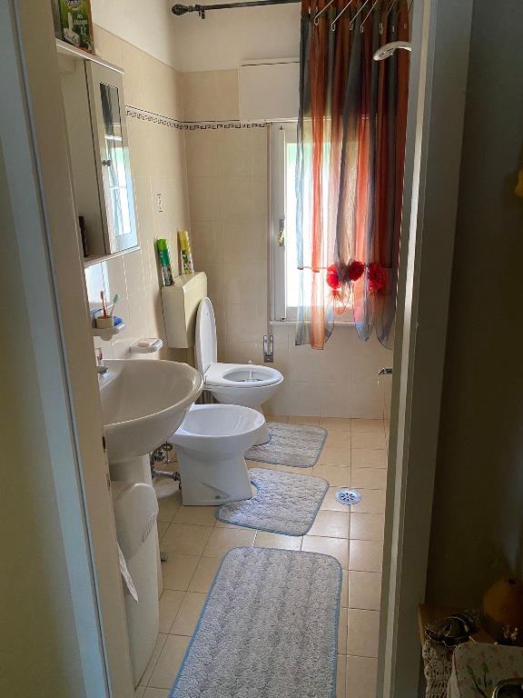 casa indipendente in vendita ad Adria in zona Bottrighe