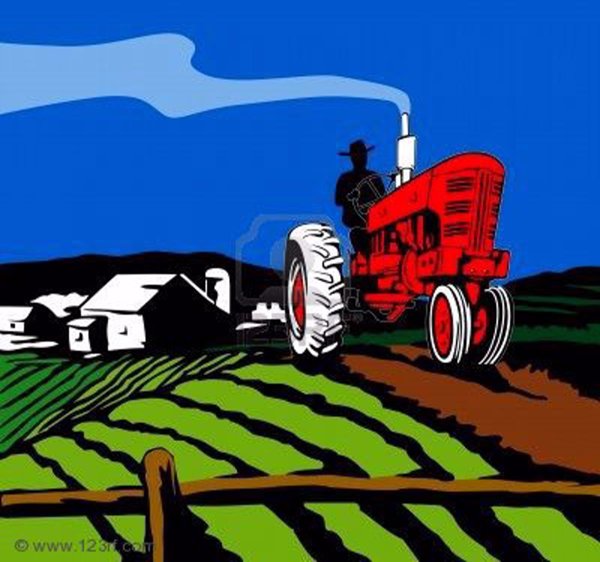 terreno agricolo in vendita ad Adria