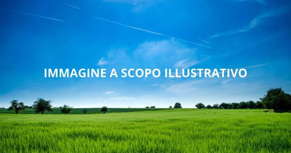 casa indipendente in vendita ad Adria