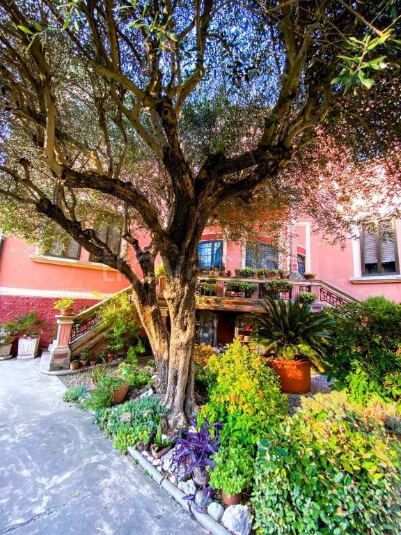 casa indipendente in vendita ad Adria