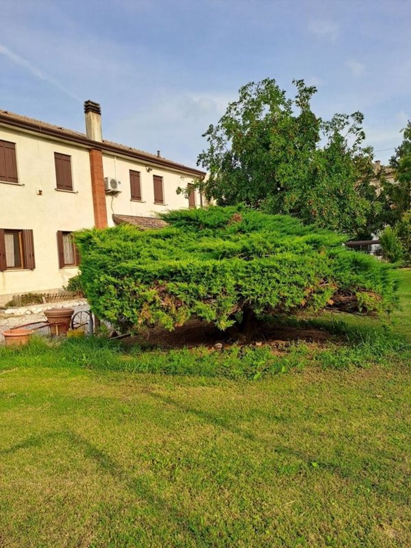 casa indipendente in vendita ad Adria