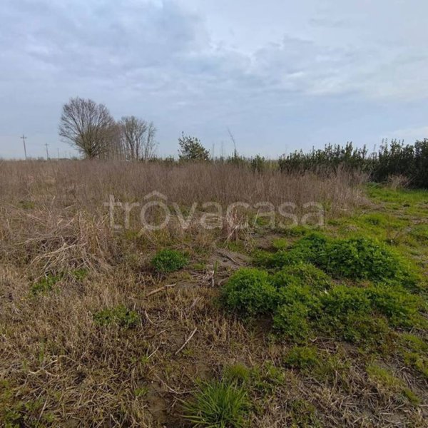 casa indipendente in vendita ad Adria