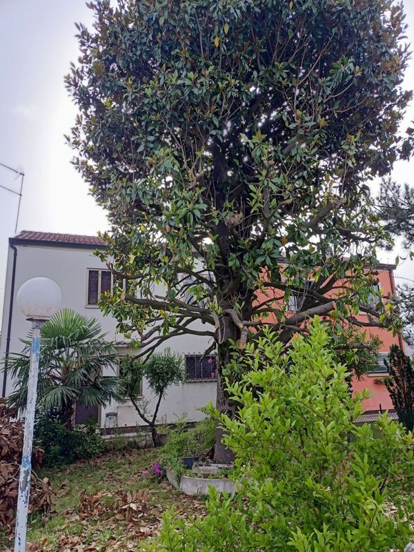 casa indipendente in vendita ad Adria