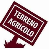 terreno agricolo in vendita ad Adria