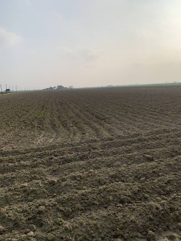terreno agricolo in vendita ad Adria