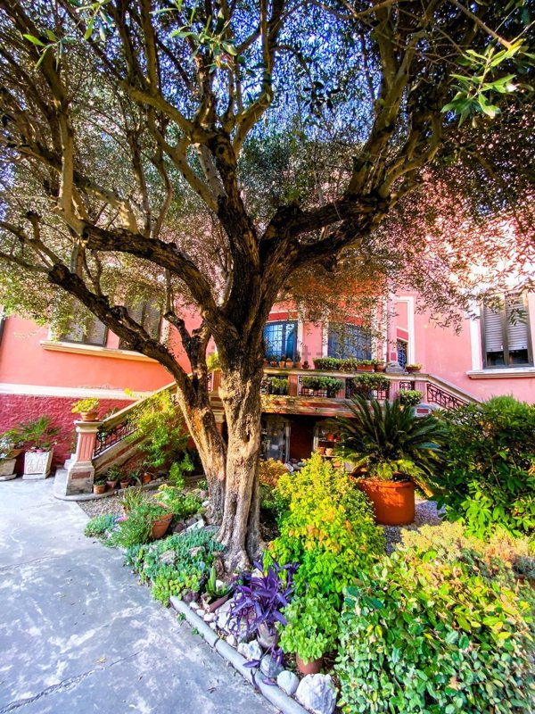 casa indipendente in vendita ad Adria