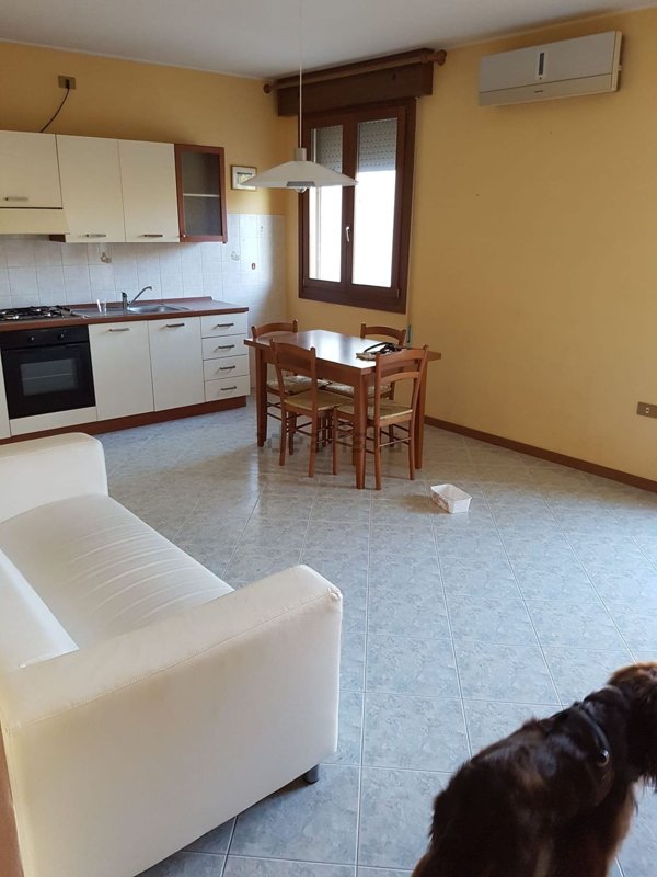 appartamento in vendita ad Adria