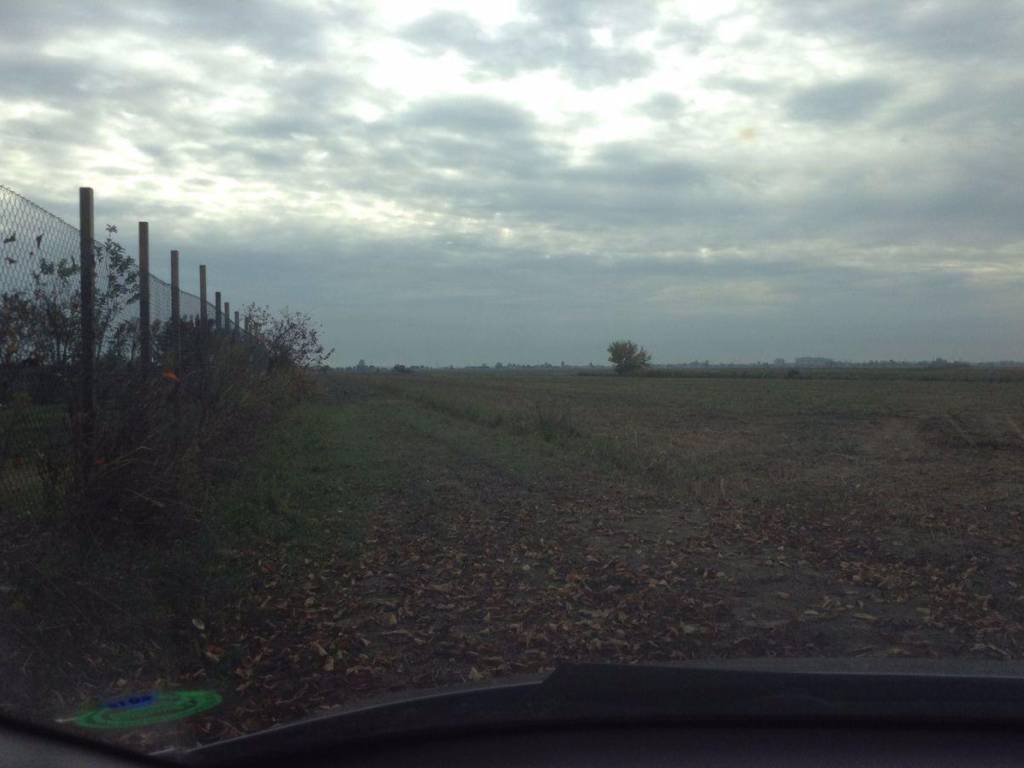terreno agricolo in vendita ad Adria