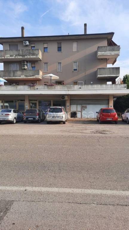 appartamento in vendita ad Adria