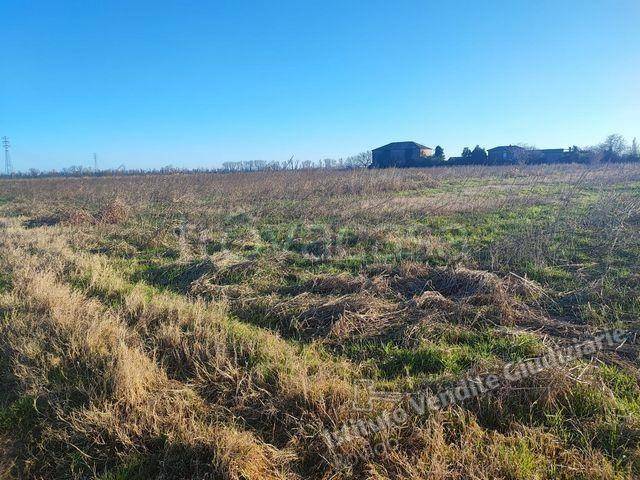 terreno agricolo in vendita ad Adria