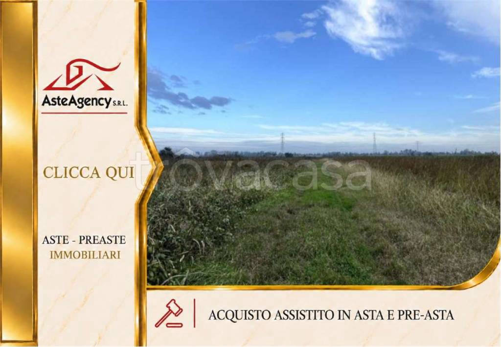 terreno agricolo in vendita ad Adria