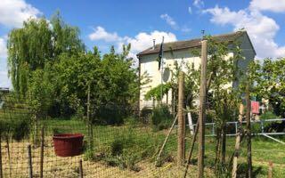 casa indipendente in vendita ad Ariano nel Polesine in zona Rivà