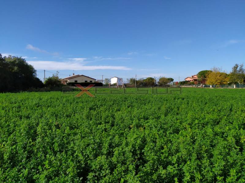 terreno edificabile in vendita ad Ariano nel Polesine in zona Rivà