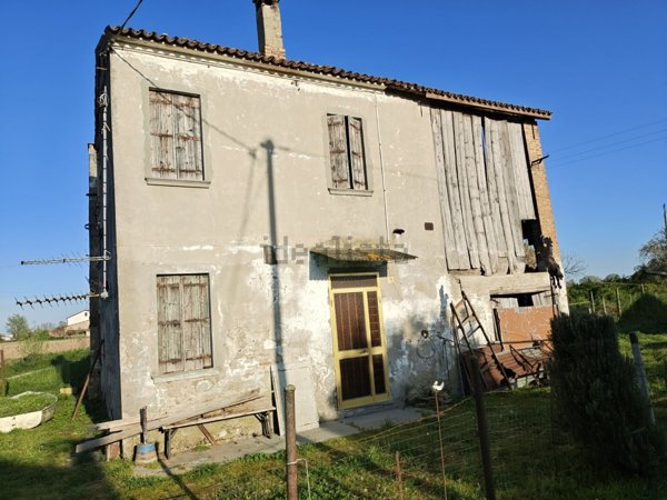 esavano in vendita ad Ariano nel Polesine in zona Santa Maria