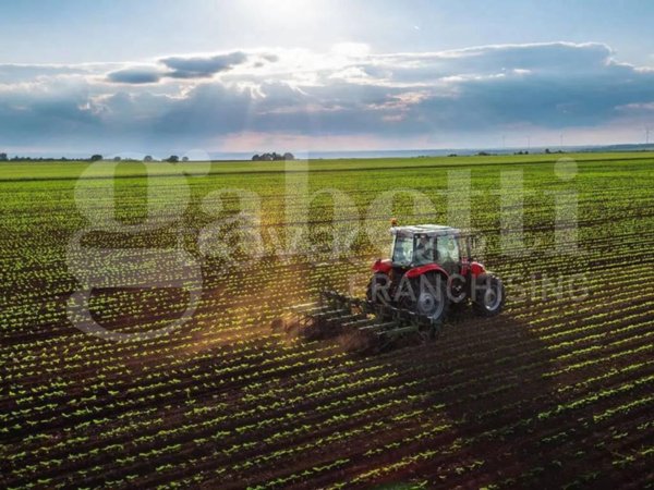 terreno agricolo in vendita ad Ariano nel Polesine