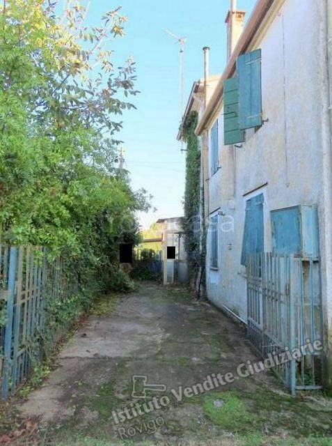 pentavano in vendita ad Ariano nel Polesine in zona Crociara