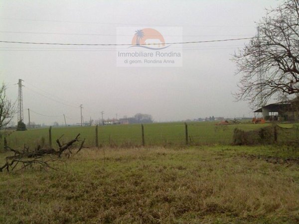 terreno edificabile in vendita ad Arquà Polesine