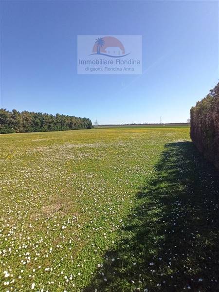 terreno agricolo in vendita ad Arquà Polesine