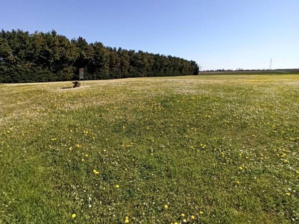 terreno agricolo in vendita ad Arquà Polesine in zona Cornè