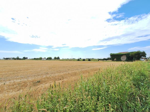terreno agricolo in vendita ad Arquà Polesine