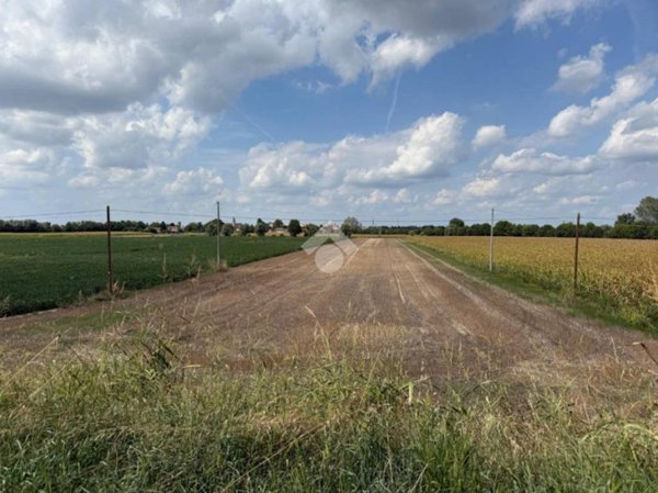 terreno agricolo in vendita ad Arquà Polesine in zona Valmolin