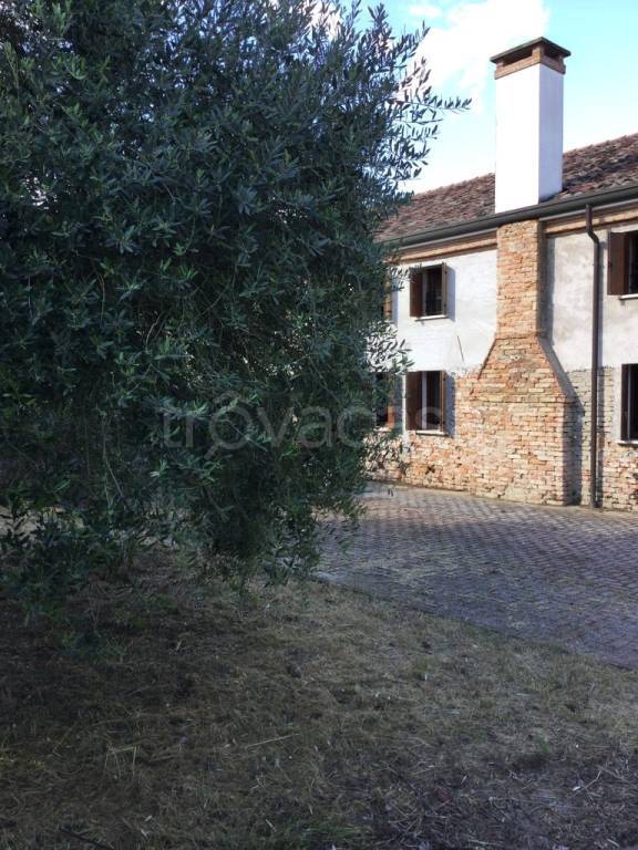 casa indipendente in vendita ad Arquà Polesine