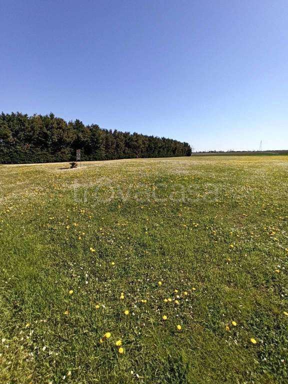 terreno agricolo in vendita ad Arquà Polesine in zona Cornè