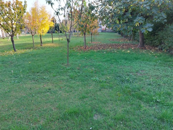 ufficio in vendita a Badia Polesine in zona Villa d'Adige